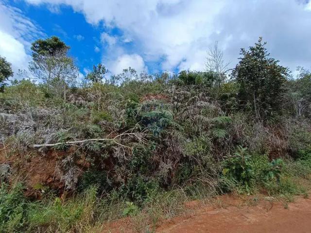 Terreno / Lote para Venda em Teresópolis/RJ Albuquerque