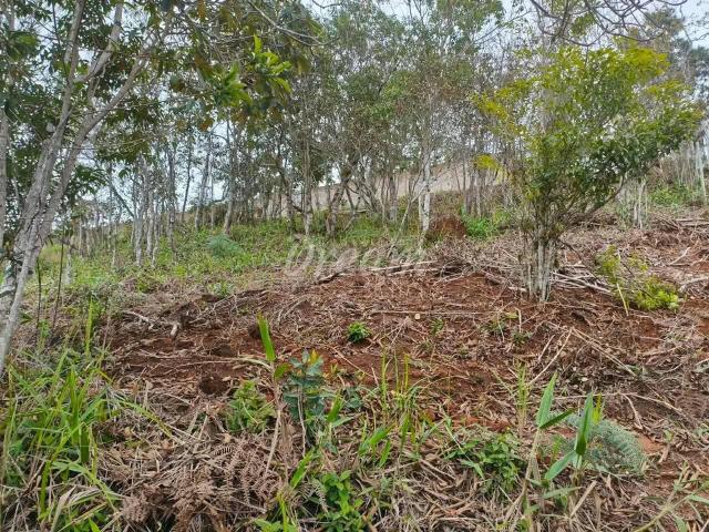 Terreno / Lote para Venda em Teresópolis/RJ Albuquerque