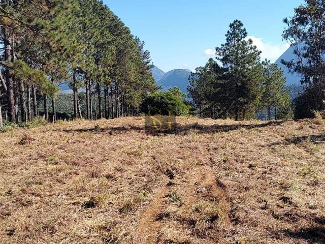 Terreno / Lote para Venda em Teresópolis/RJ Albuquerque