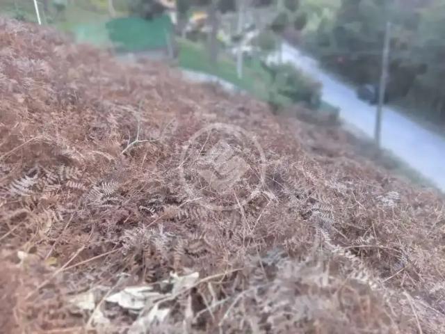 Terreno / Lote para Venda em Teresópolis/RJ Albuquerque