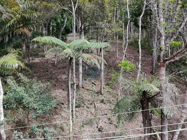 Terreno / Lote para Venda em Teresópolis/RJ Albuquerque