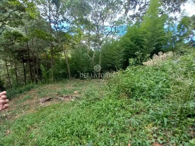 Terreno / Lote para Venda em Teresópolis/RJ Cascata dos Amores