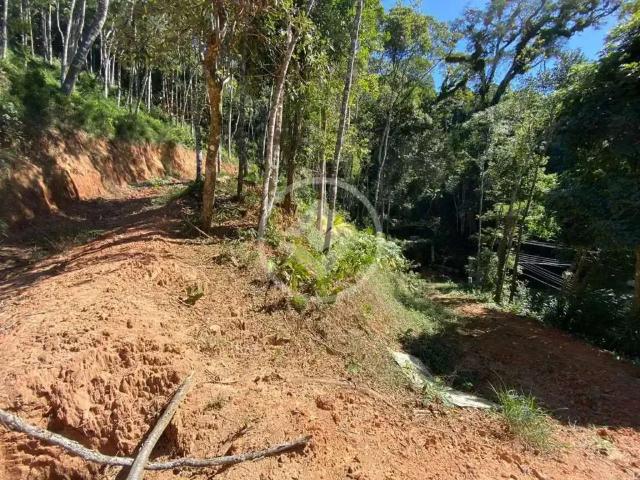 Terreno / Lote para Venda em Teresópolis/RJ Carlos Guinle