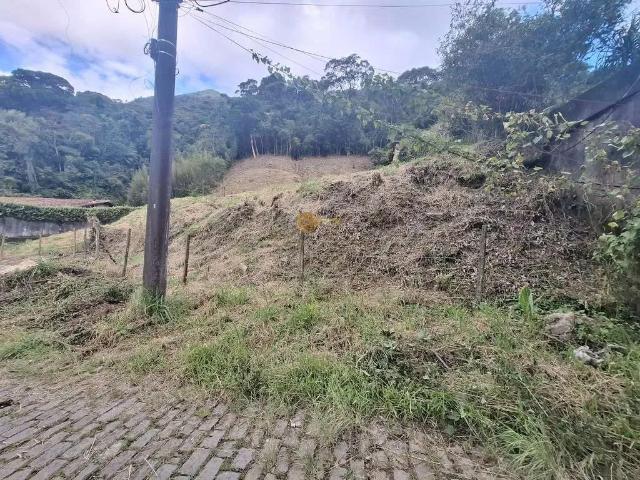 Terreno / Lote para Venda em Teresópolis/RJ Carlos Guinle