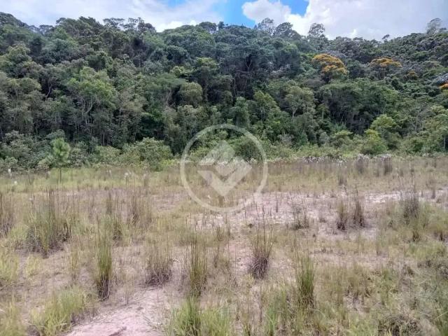 Terreno / Lote para Venda em Teresópolis/RJ Fazenda Alpina
