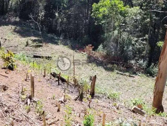 Terreno / Lote para Venda em Teresópolis/RJ Fazenda Boa Fé