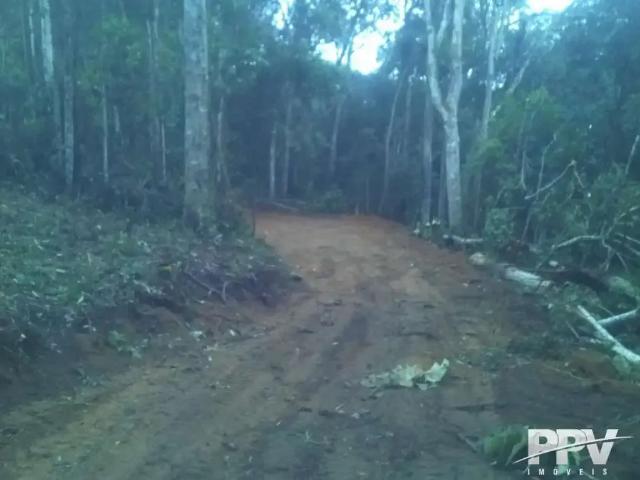 Terreno / Lote para Venda em Teresópolis/RJ Fazenda Suiça