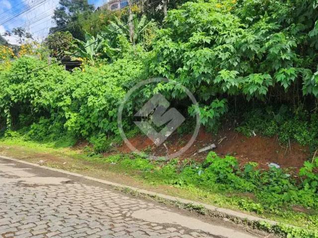 Terreno / Lote para Venda em Teresópolis/RJ Granja Guarani