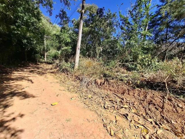 Terreno / Lote para Venda em Teresópolis/RJ Jardim Salaco