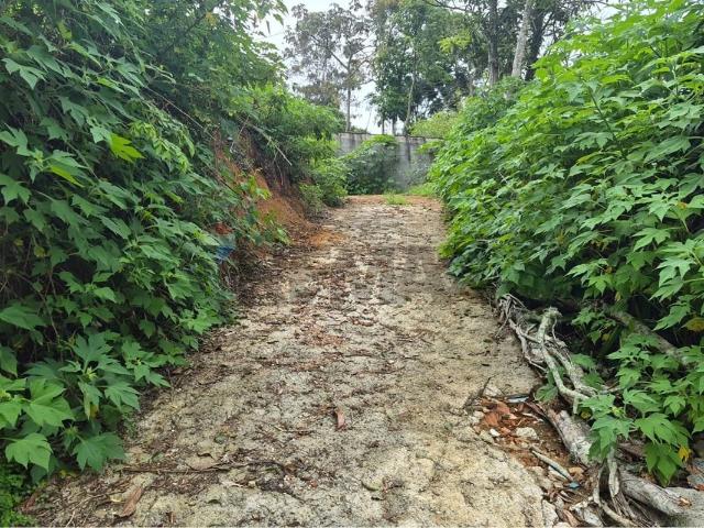 Terreno / Lote para Venda em Teresópolis/RJ Parque do Imbui