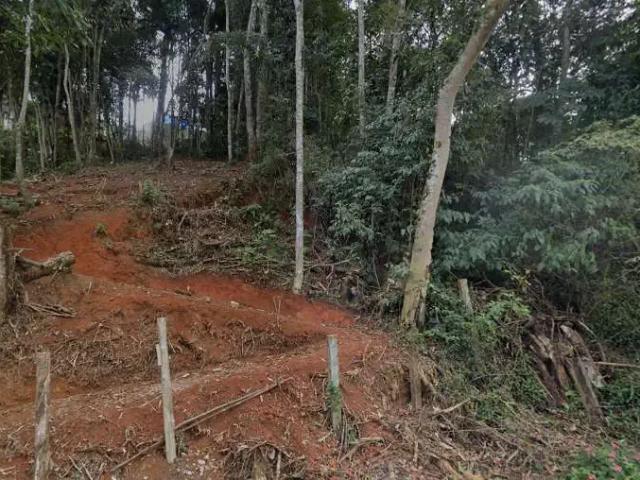 Terreno / Lote para Venda em Teresópolis/RJ Parque do Ingá