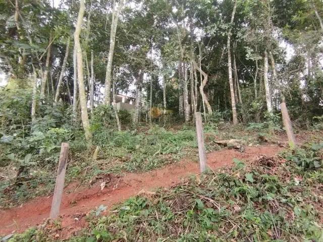 Terreno / Lote para Venda em Teresópolis/RJ Parque do Ingá