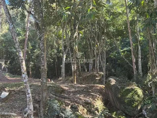 Terreno / Lote para Venda em Teresópolis/RJ Parque do Ingá