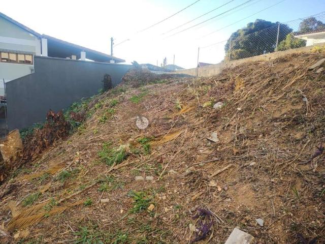Terreno / Lote para Venda em Teresópolis/RJ Parque São Luiz