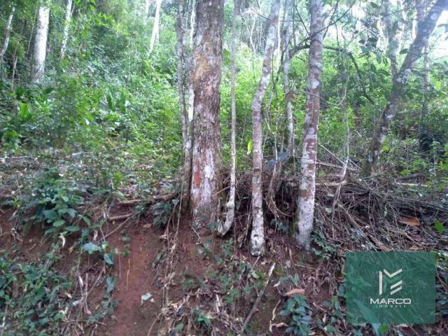 Terreno / Lote para Venda em Teresópolis/RJ Pessegueiros
