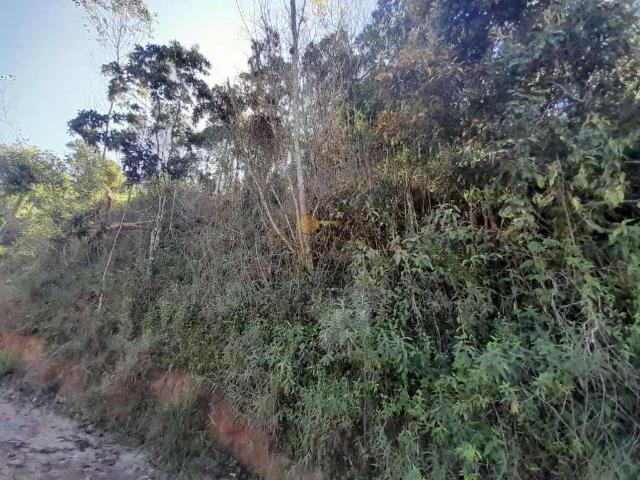 Terreno / Lote para Venda em Teresópolis/RJ Prata