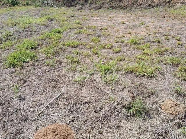 Terreno / Lote para Venda em Teresópolis/RJ Providência