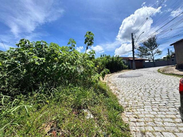 Terreno / Lote para Venda em Teresópolis/RJ Vale do Paraíso