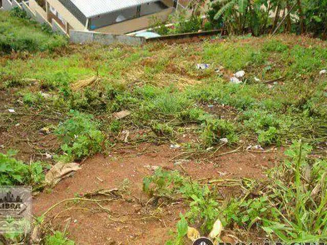 Terreno / Lote para Venda em Teresópolis/RJ Vale do Paraíso