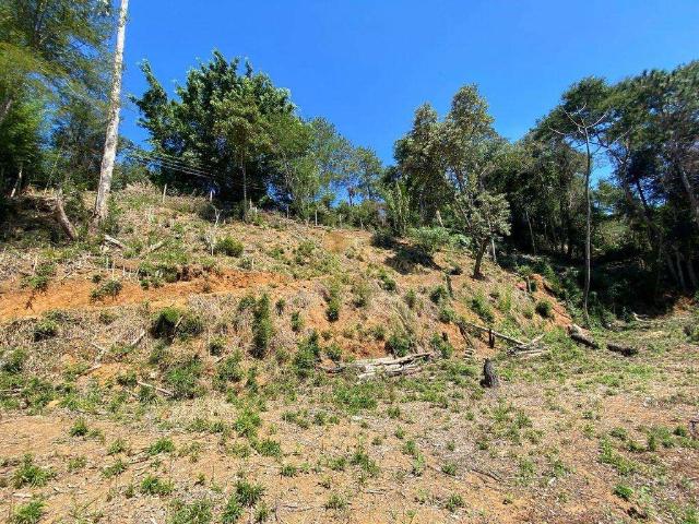 Terreno / Lote para Venda em Teresópolis/RJ Vargem Grande 1 Quartos