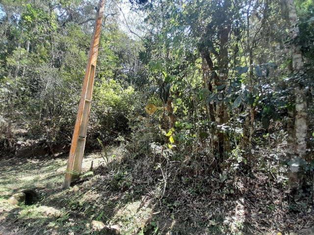 Terreno / Lote para Venda em Teresópolis/RJ Vargem Grande