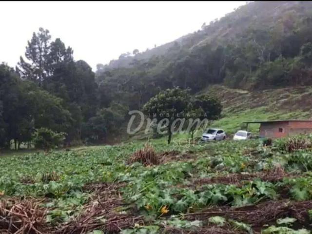 Terreno / Lote para Venda em Teresópolis/RJ Vieira