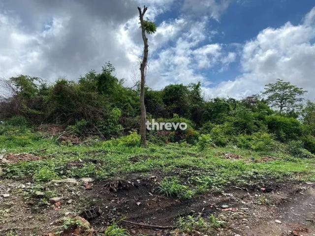 Terreno / Lote para Venda em Teresina/PI Morros