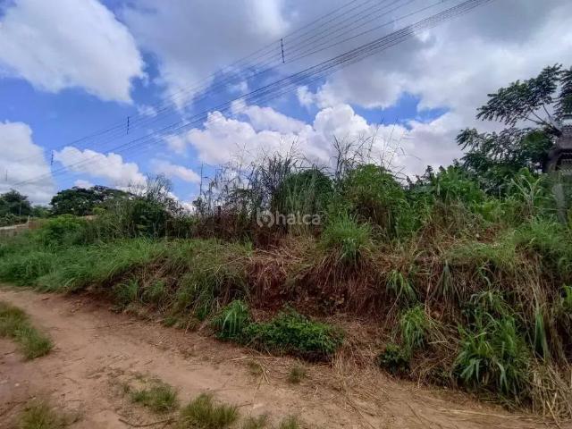 Terreno / Lote para Venda em Teresina/PI Angelim