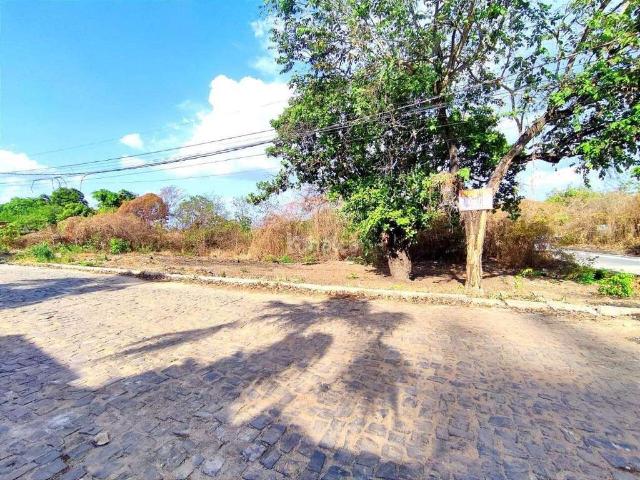 Terreno / Lote para Venda em Teresina/PI Esplanada