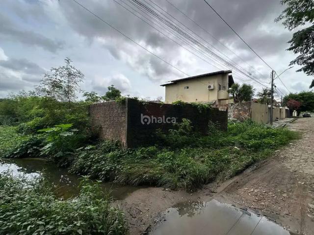 Terreno / Lote para Venda em Teresina/PI Ininga
