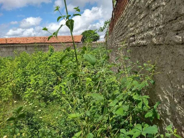 Terreno / Lote para Venda em Teresina/PI Lourival Parente