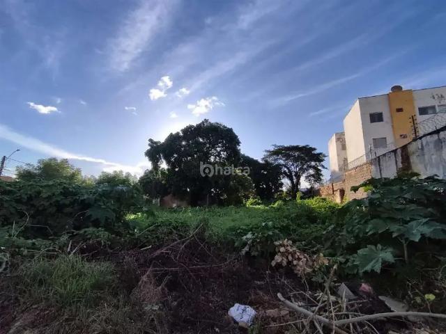 Terreno / Lote para Venda em Teresina/PI Porenquanto