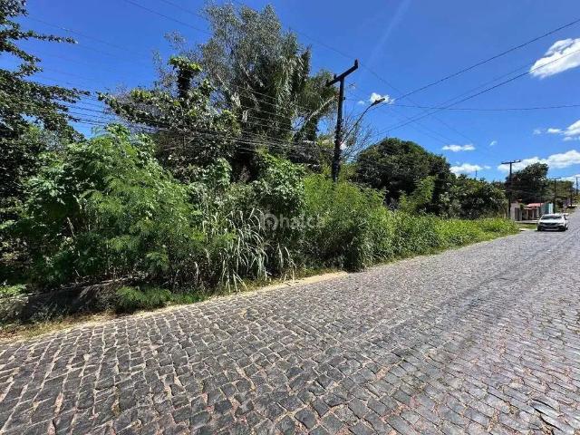 Terreno / Lote para Venda em Teresina/PI Porto do Centro