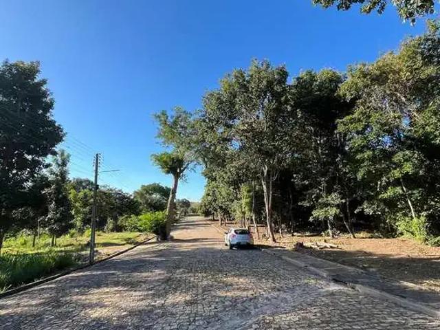 Terreno / Lote para Venda em Teresina/PI Povoado Santa Teresa