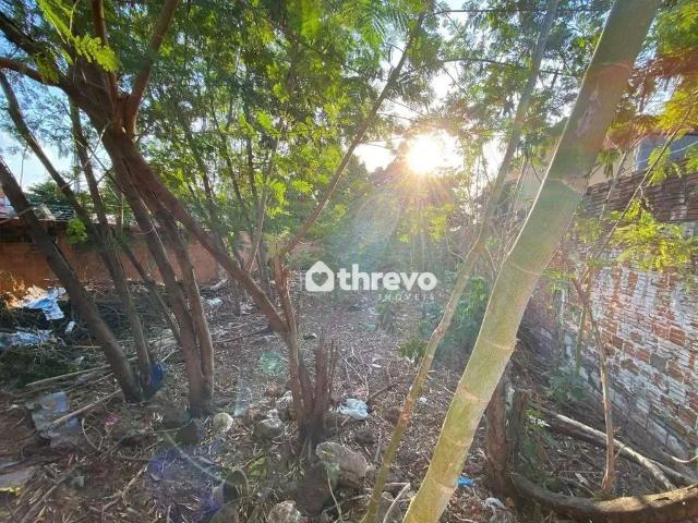Terreno / Lote para Venda em Teresina/PI São João
