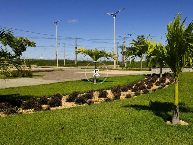 Terreno / Lote para Venda em Teresina/PI Socopo