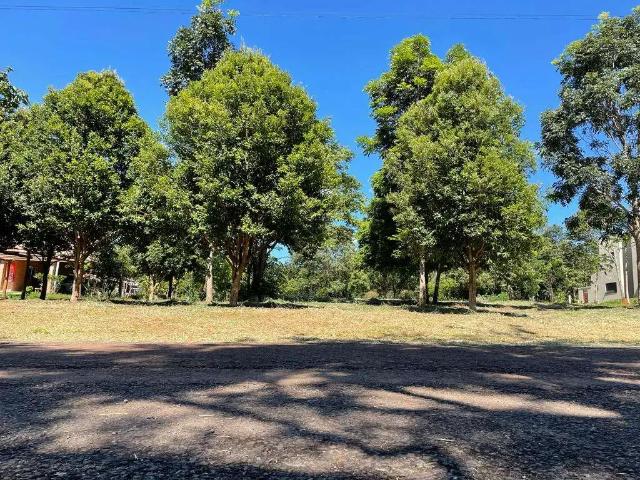 Terreno / Lote para Venda em Terezópolis de Goiás/GO Ecovila Santa Branca