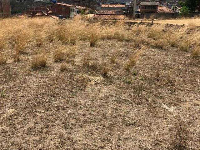 Terreno / Lote para Venda em Timbaúba/PE Cruangi