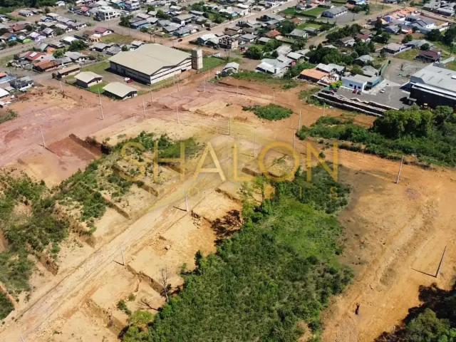 Terreno / Lote para Venda em Timbó Grande/SC Centro