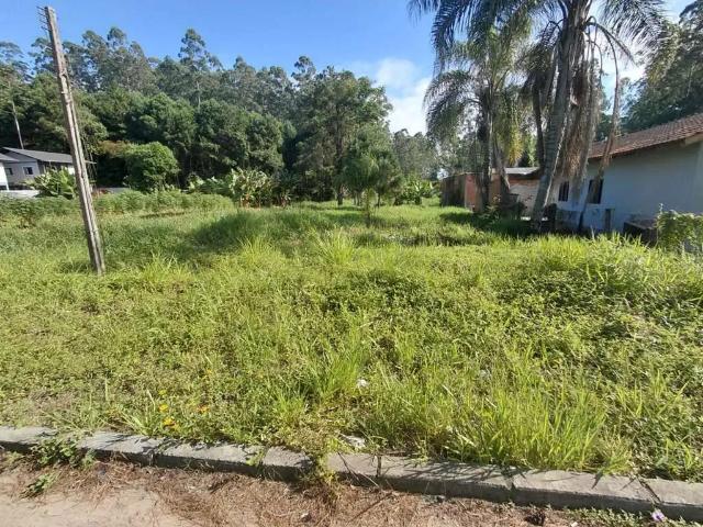 Terreno / Lote para Venda em Timbó/SC Araponguinhas