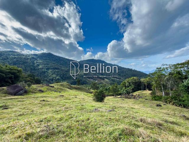 Terreno / Lote para Venda em Timbó/SC Centro