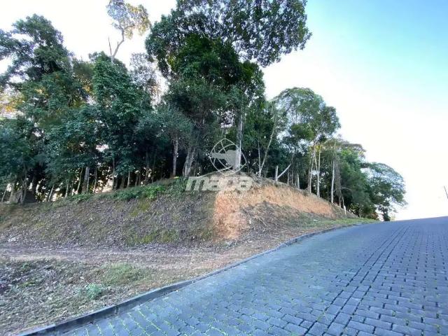 Terreno / Lote para Venda em Timbó/SC Quintino