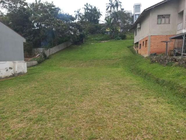 Terreno / Lote para Venda em Timbó/SC Quintino