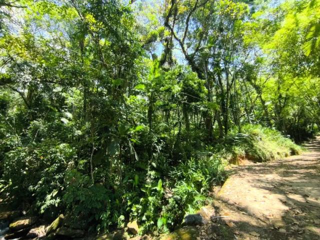 Terreno / Lote para Venda em Timbó/SC Tiroleses
