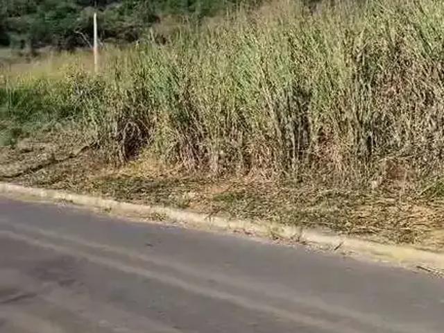 Terreno / Lote para Venda em Timóteo/MG Novo Horizonte