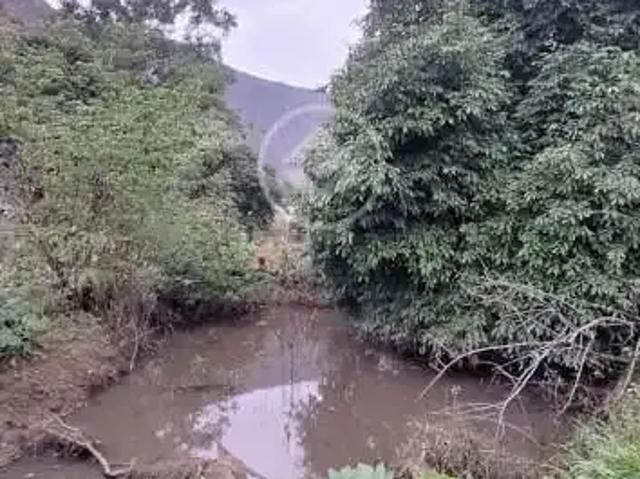 Terreno / Lote para Venda em Timóteo/MG Petrópolis