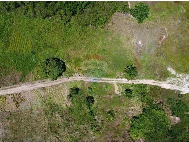Terreno / Lote para Venda em Tibau do Sul/RN Centro