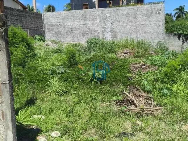 Terreno / Lote para Venda em Tibau do Sul/RN Pipa