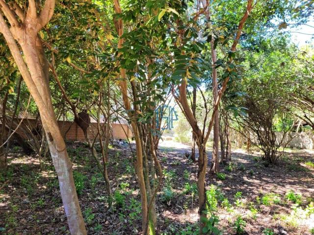 Terreno / Lote para Venda em Tibau do Sul/RN Pipa