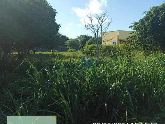 Terreno / Lote para Venda em Tibau do Sul/RN Pipa